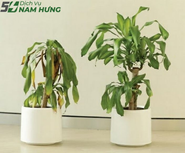 5 Nguyên Tắc Phong Thủy Nhà Ở Cần Lưu Ý 4 Những điều tối kỵ trong phong thủy nhà ở