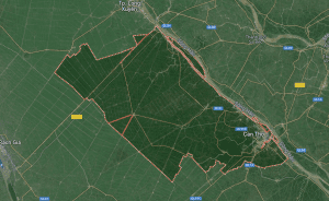 Cần Thơ Có Bao Nhiêu Quận, Huyện, Xã 7 Cần Thơ có bao nhiêu quận, huyện, xã